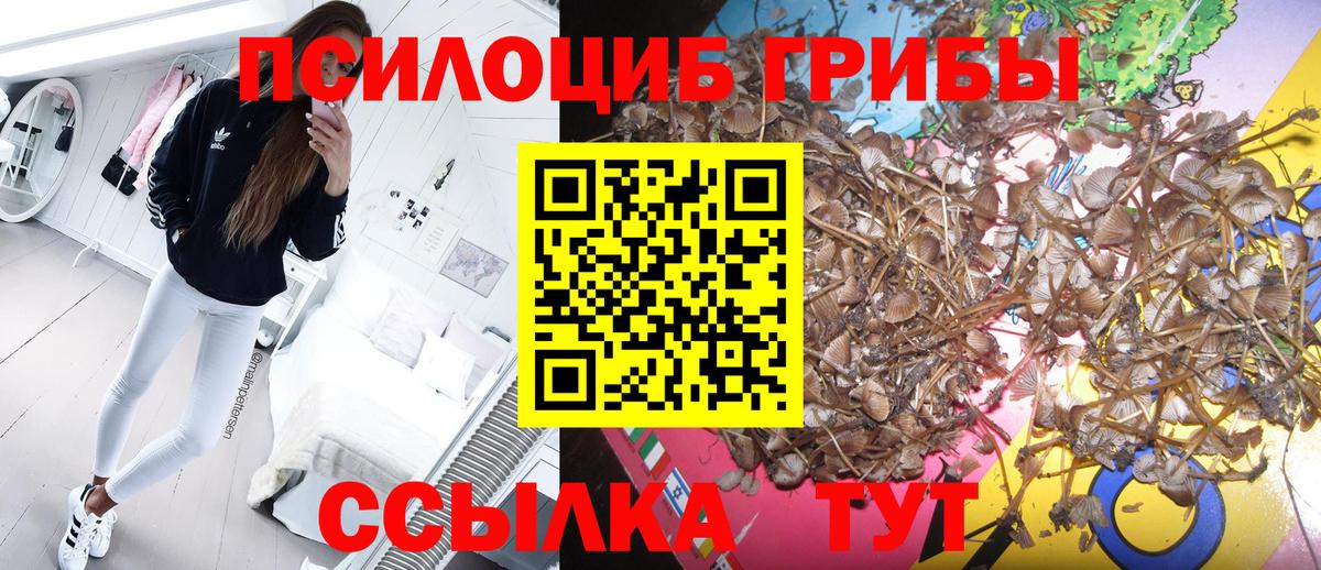 Галлюциногенные грибы мицелий  Вход с VPN  Ступино 